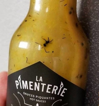 Une fourmi rouge au départ, je suppose...