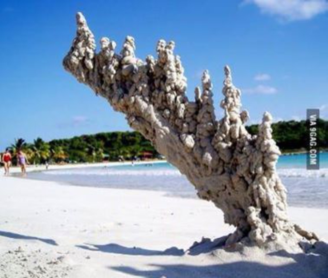 Fleurs créée par la foudre dans le sable