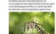 Mieux que les insecticides