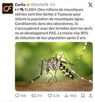 Mieux que les insecticides