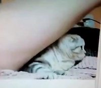 Comment choquer un FDP !