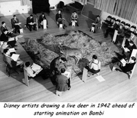 Étude artistique d'un cerf vivant 