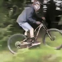 "Do a barrel roll !"