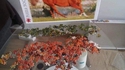 Un pro des puzzles