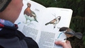 Ornithologue expert