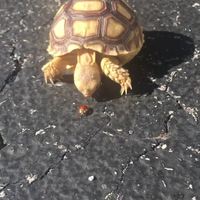 Derrière toi, c'est affreux !