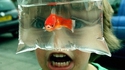 POISSON ROUGE