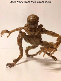 Alien