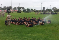 Discipliné