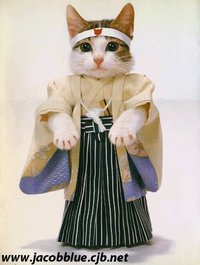 Chat japonais