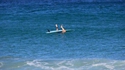 Surfing