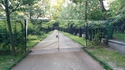 Allée arborée