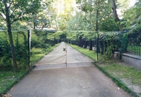 Allée arborée