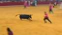 La vache, oh la vache !