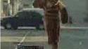 Black Belt Bear Jones
