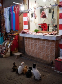 Demande de viande