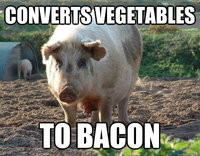 Convertisseur