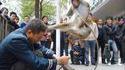 Singe shaolin