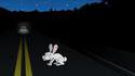 Roadkill revenge