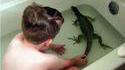 Lézard au bain