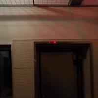 Pôle Sud , après six mois de nuit , il est de retour . 