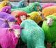 Futurs pulls aux couleurs naturelles