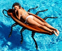 Un cafard dans la piscine
