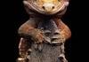 Correlophus ciliatus