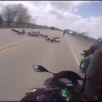 Kan t'as les réflexes de Spider-Man