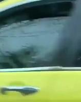 Pendant ce temps là au bord de la route 