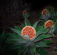 Comme disait Voltaire : "Il faut cultiver notre jardin"