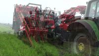 Machine récolteuse de carottes : les lapins la détestent !