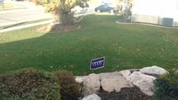 Can't Stump the Trump