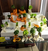 Des carottes, de simples carottes