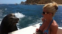 Seal of Approval
