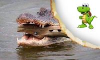 Croc?