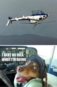 Bon pilote