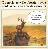 Tout pareil