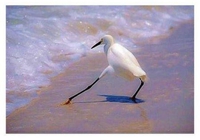 Oh p... ! Elle est froide !