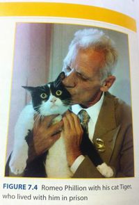 Le chat avec qui il a séjourné en prison