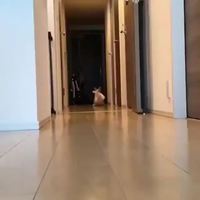 Il arrive, il est là