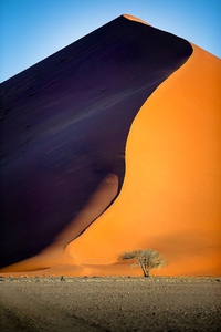Dune au soleil rasant