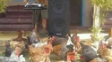 Quand il y a plein de poulettes sur la piste