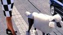 Chien stylé