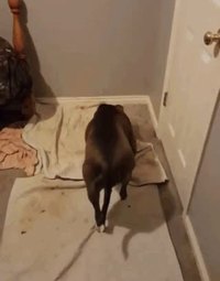 "Tiens, tu peux me les garder une minute ?"