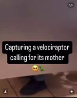 J’ai capturé un velociraptor 