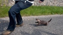 Il court, il court le furet...