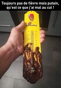 Toujours pas de fièvre