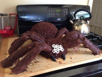 Gâteau au chocolat
