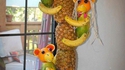 Palmier de fruits